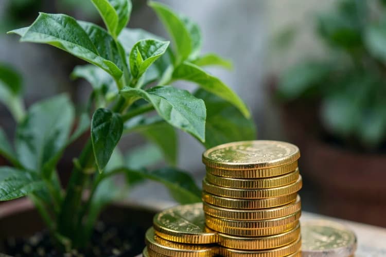 Uma planta crescendo em direção a moedas de ouro empilhadas, simbolizando o retorno sobre investimento imobiliário.
